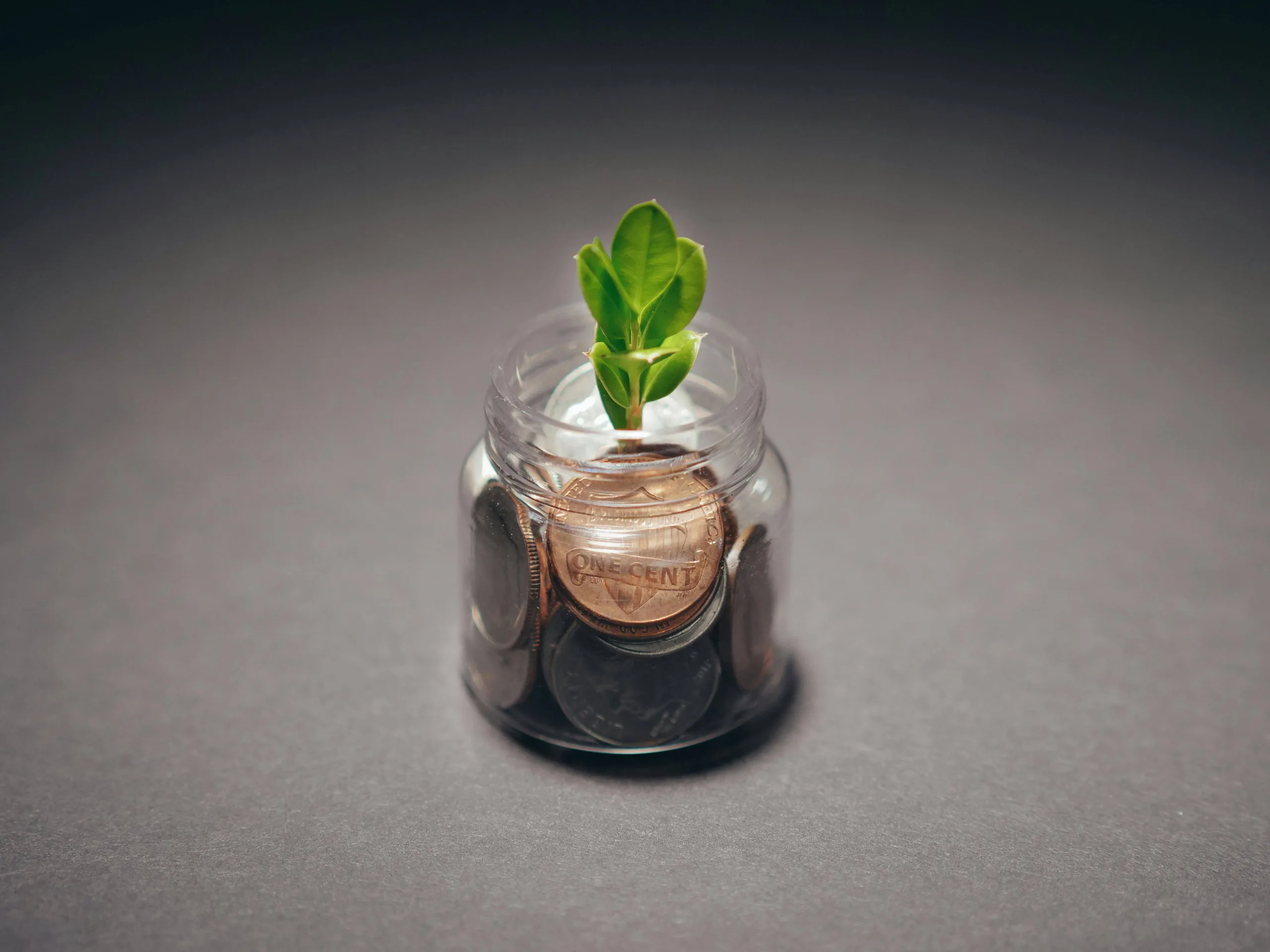 Subsidies om je huis te verduurzamen